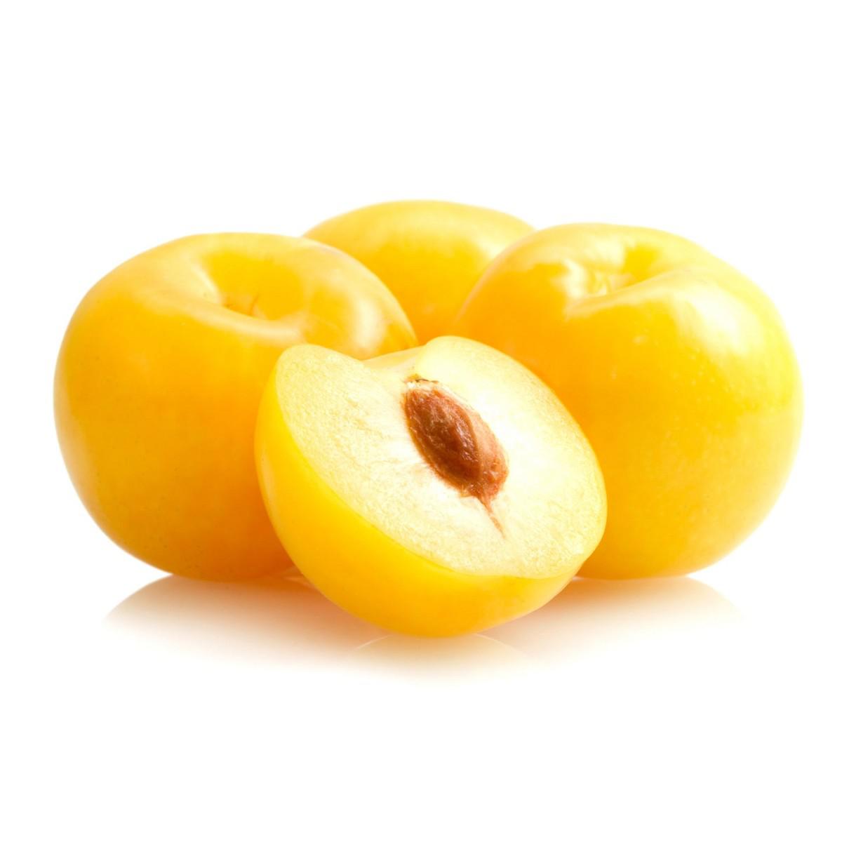 שזיף סאן גולד